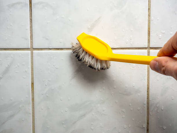 Mold Removal Process in Columbus, MT
