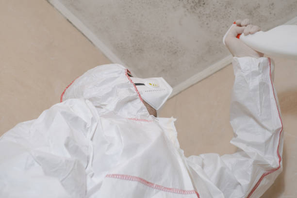 Best Crawl Space Mold Removal  in Columbus, MT