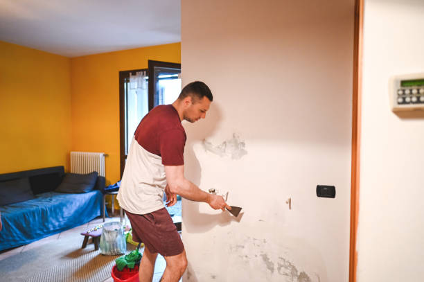 Professional Mold Removal in Columbus, MT
